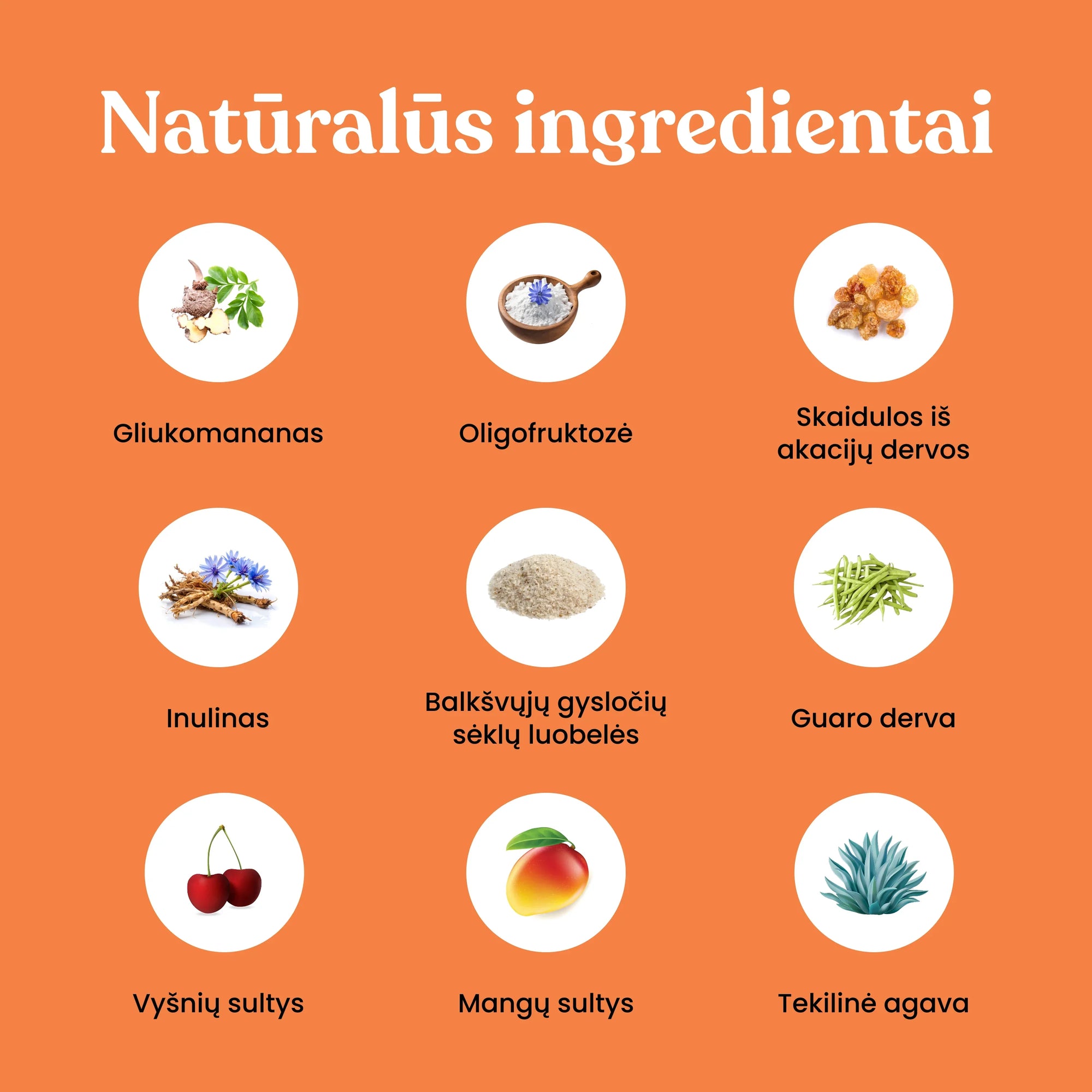 GutBrush maistinės skaidulos - SUPLEMENTE